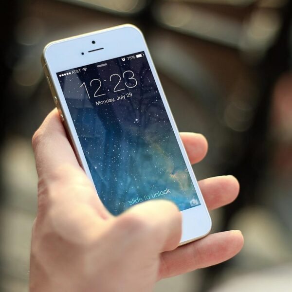 The iOS developer profession