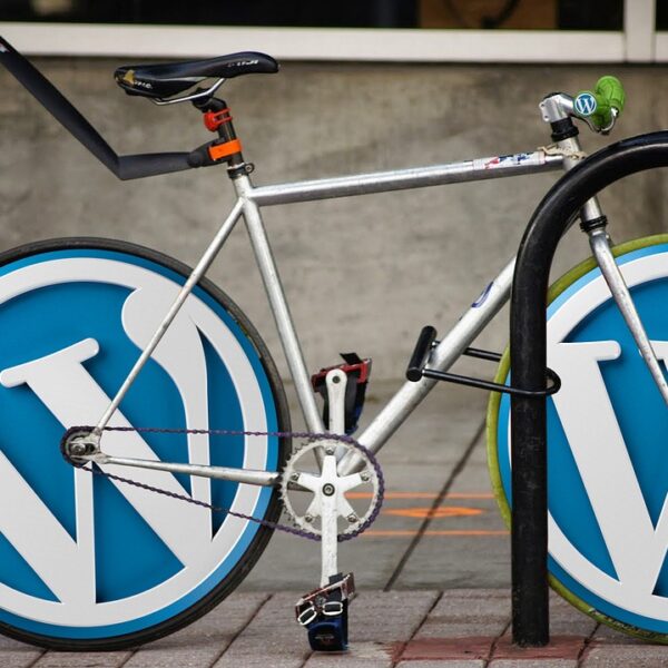 The profession of a content manager